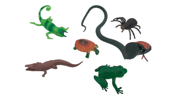 Ragvee Toys Presents Insect Toys for Kids BIG SIZE 6 Pcs Insects Figurine Toys for Boys and Girls Birthday Gifts. - Image 4