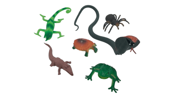 Ragvee Toys Presents Insect Toys for Kids BIG SIZE 6 Pcs Insects Figurine Toys for Boys and Girls Birthday Gifts. - Image 5