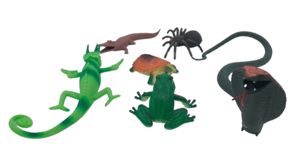 Ragvee Toys Presents Insect Toys for Kids BIG SIZE 6 Pcs Insects Figurine Toys for Boys and Girls Birthday Gifts. - Image 7