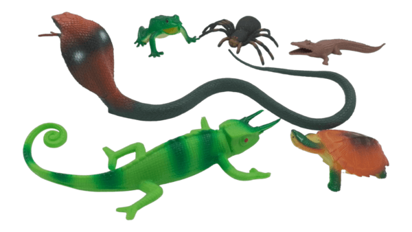 Ragvee Toys Presents Insect Toys for Kids BIG SIZE 6 Pcs Insects Figurine Toys for Boys and Girls Birthday Gifts. - Image 9