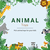 Animal Toys Category Image Animal Toys Category Image